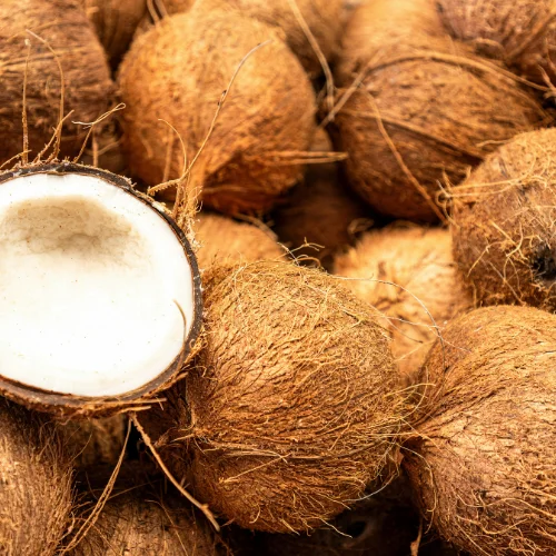 Dry Coconut